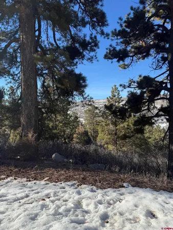 $245,000 | Lot 120 Green Meadow Lane, Placerville, CO 81430