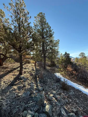 $245,000 | Lot 120 Green Meadow Lane, Placerville, CO 81430