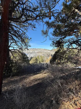 $245,000 | Lot 120 Green Meadow Lane, Placerville, CO 81430