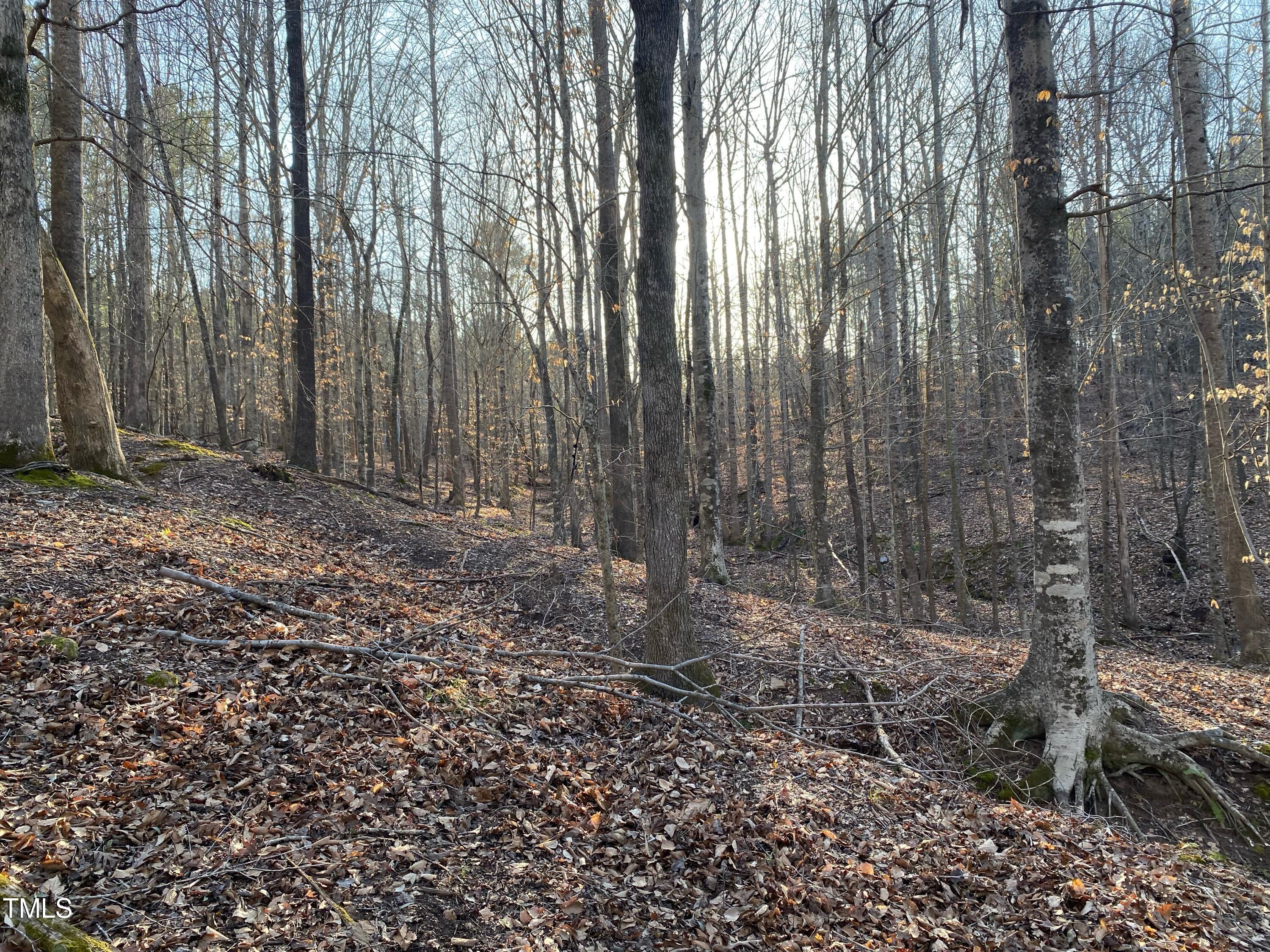 3151 Brogden Road Stem, NC 27581 - Photo 56 of 58 Back in the woods!