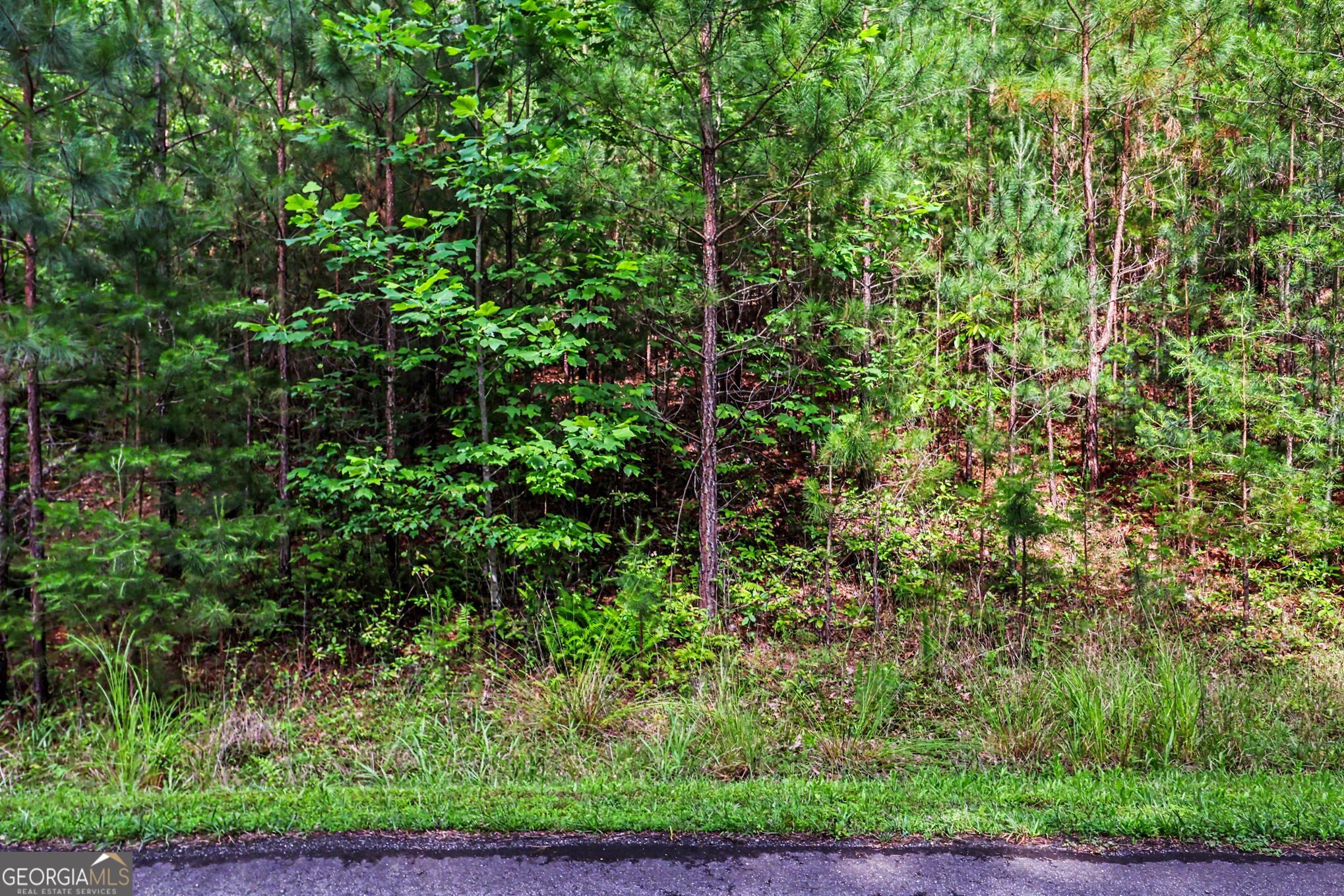 230 Rushing Water Drive Blairsville, GA 30512 - Photo 18 of 22