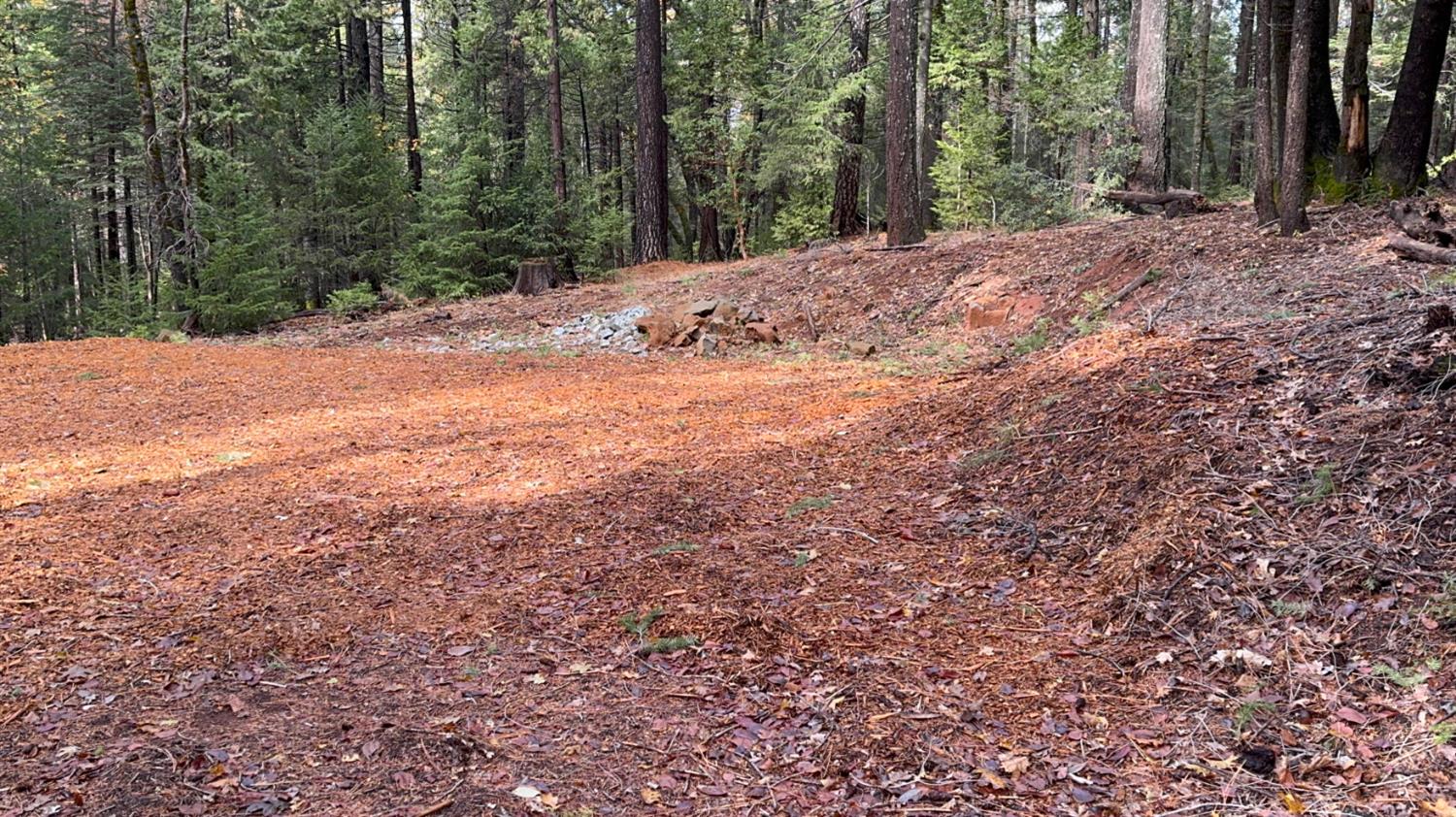 13646 Quaker Hill Cross Road Nevada City, CA 95959 - Photo 11 of 17 a view of a backyard of a house