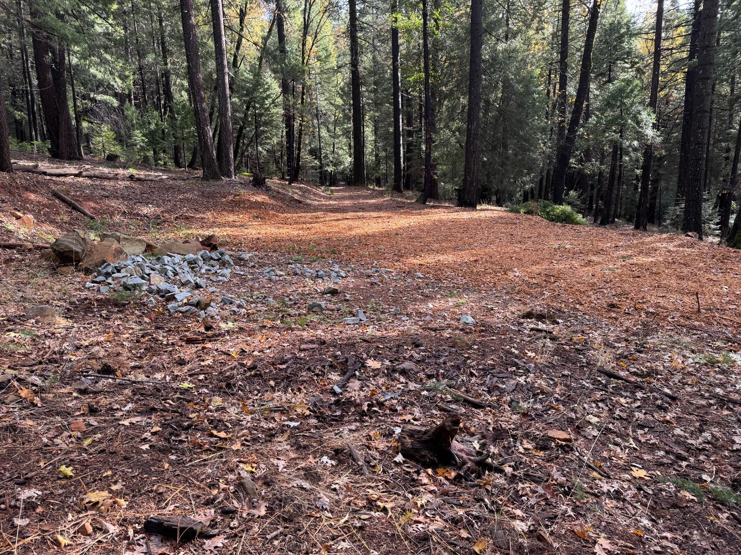 13646 Quaker Hill Cross Road Nevada City, CA 95959 - Photo 13 of 17 a view of outdoor space with trees
