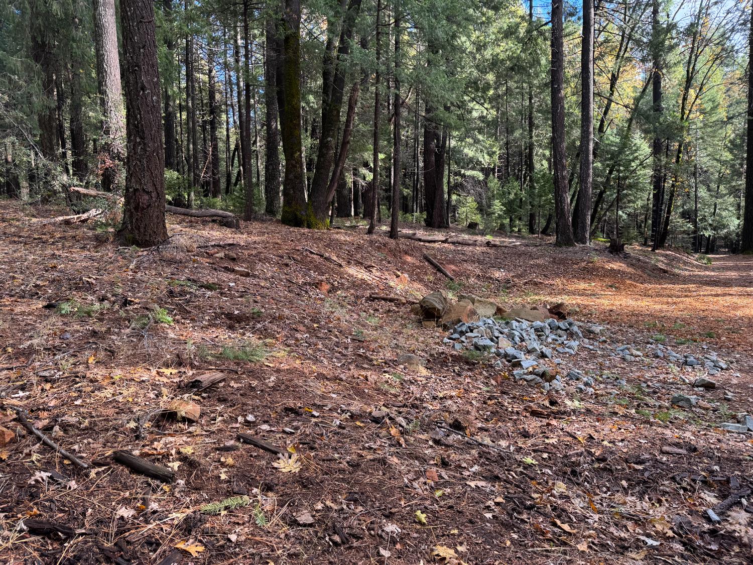 13646 Quaker Hill Cross Road Nevada City, CA 95959 - Photo 15 of 17 a view of outdoor space with trees