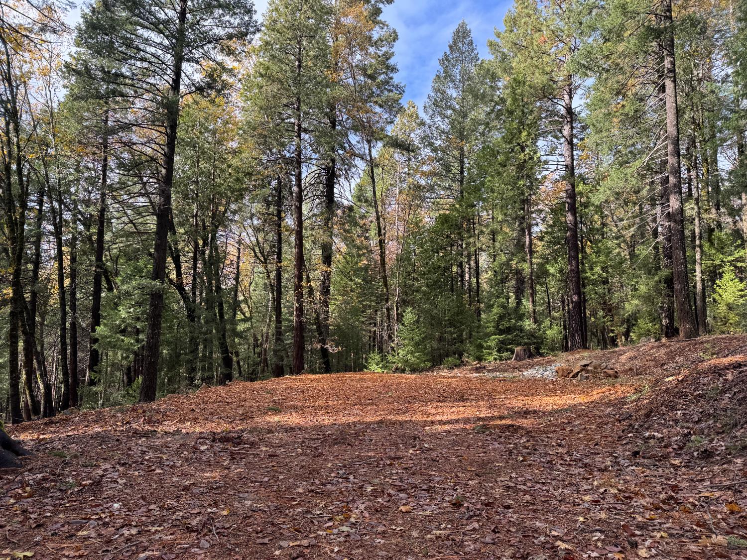 13646 Quaker Hill Cross Road Nevada City, CA 95959 - Photo 5 of 17 a view of road and trees