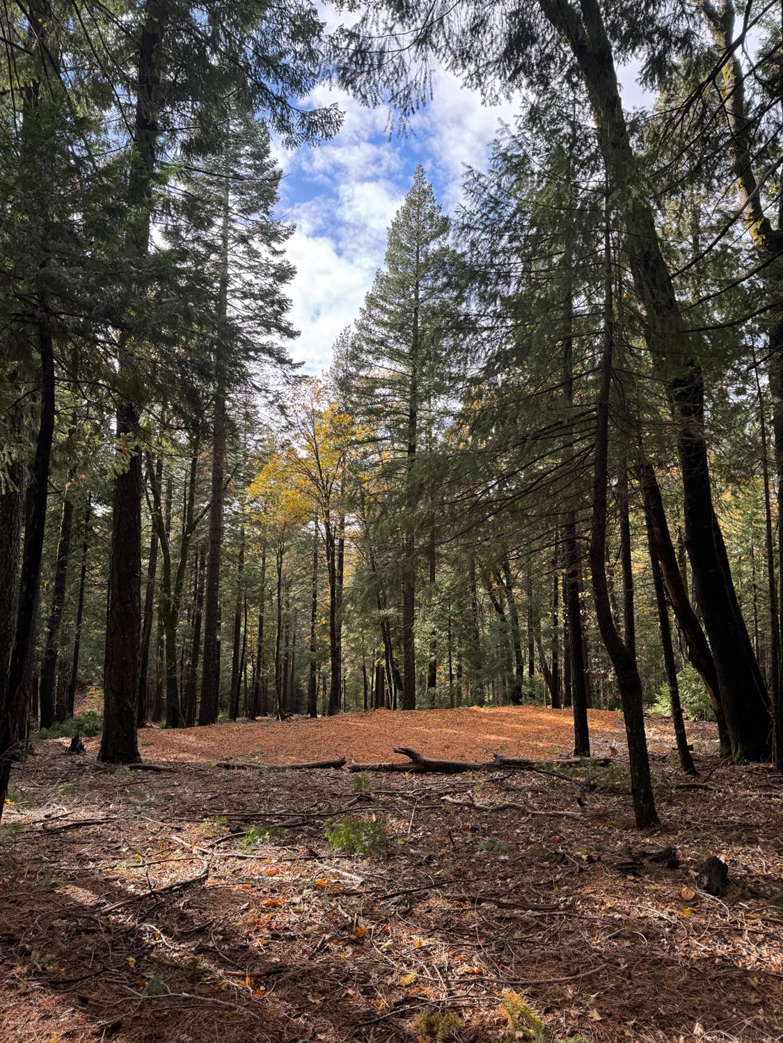 13646 Quaker Hill Cross Road Nevada City, CA 95959 - Photo 7 of 17 a view of road covered with snow