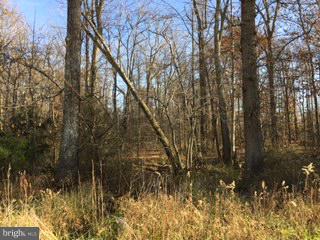 17318 Livingston Road Accokeek, MD 20607 - Photo 2 of 2