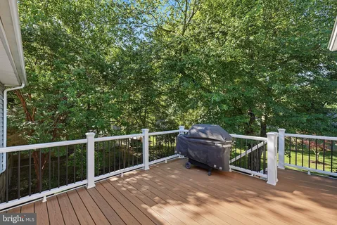 a view of backyard with roof and trees