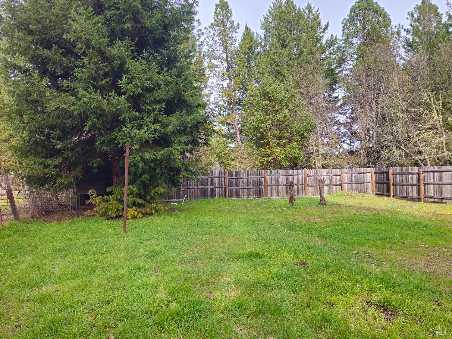 1920 Branscomb Road Laytonville, CA 95454 - Photo 5 of 12