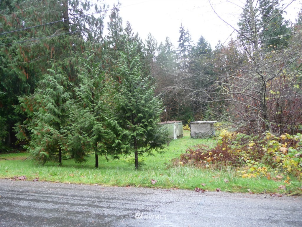 46523 Baker Loop Road Concrete, WA 98237 - Photo 1 of 3 Gallery Image 1