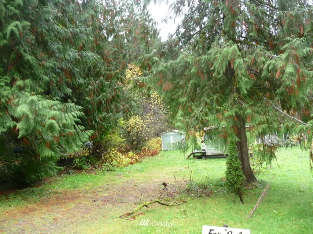 46523 Baker Loop Road Concrete, WA 98237 - Photo 2 of 3 Gallery Image 2