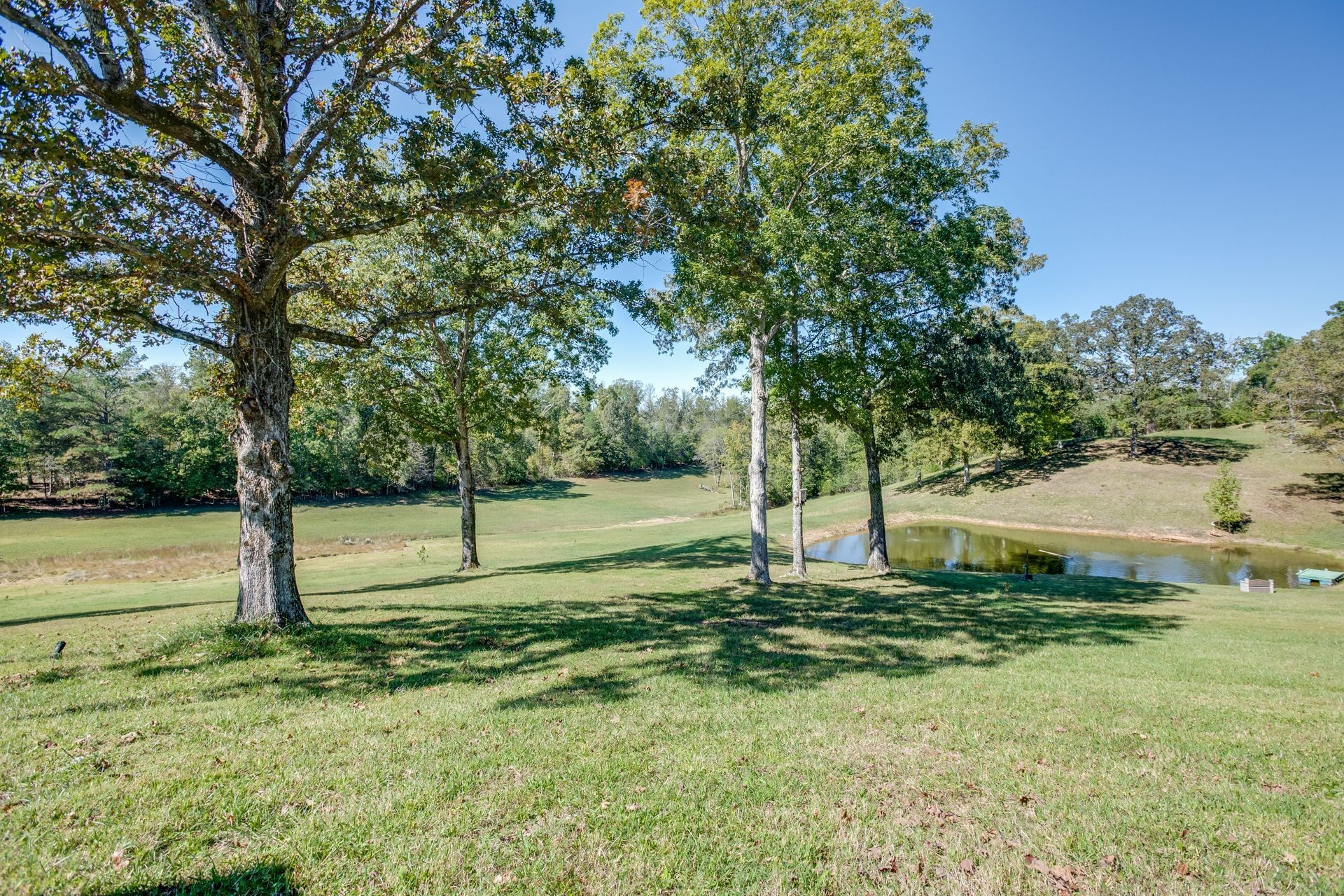 2743 Mouse Tail Road Parsons, TN 38363 - Photo 62 of 77 Gallery Image 62
