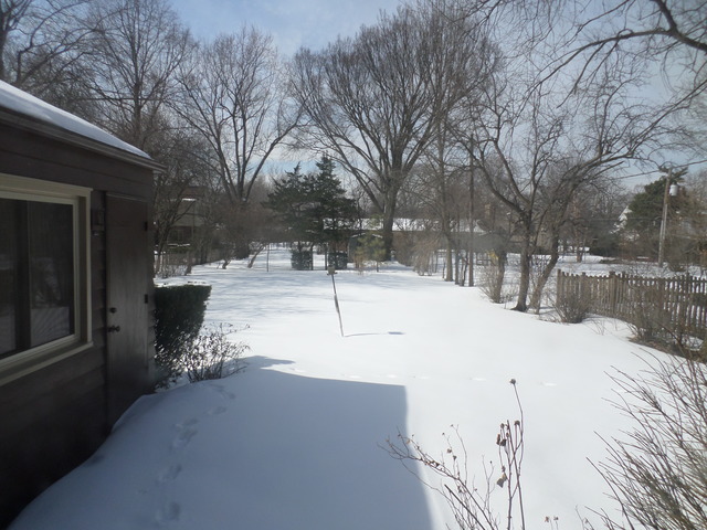 334 Downing Road Riverside, IL 60546 - Photo 17 of 23