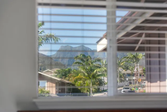 a view of a garden with plants