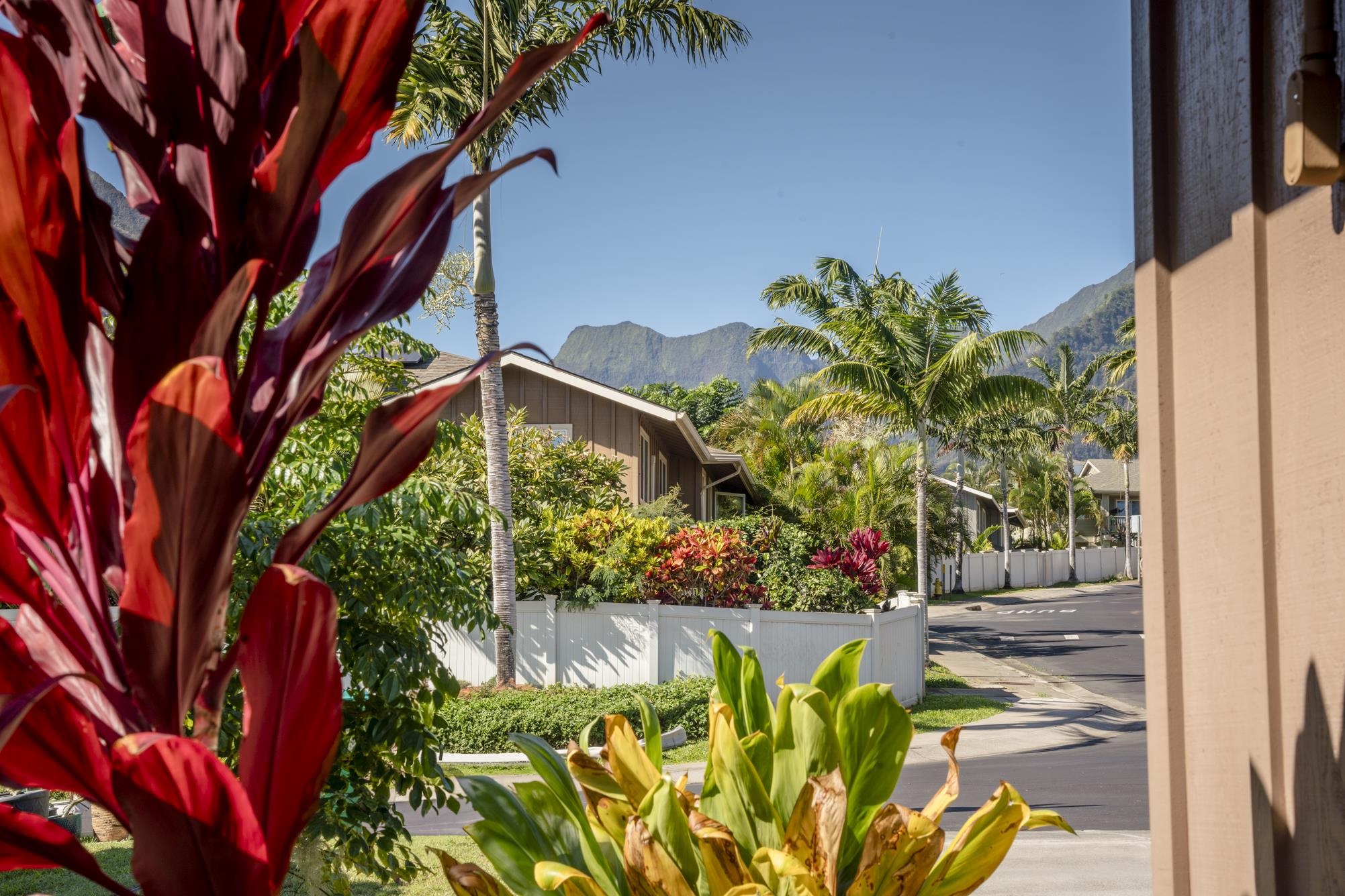223 Lau Oliwa Loop, Unit 38 Wailuku, HI 96793 - Photo 43 of 50 a view of a garden with plants