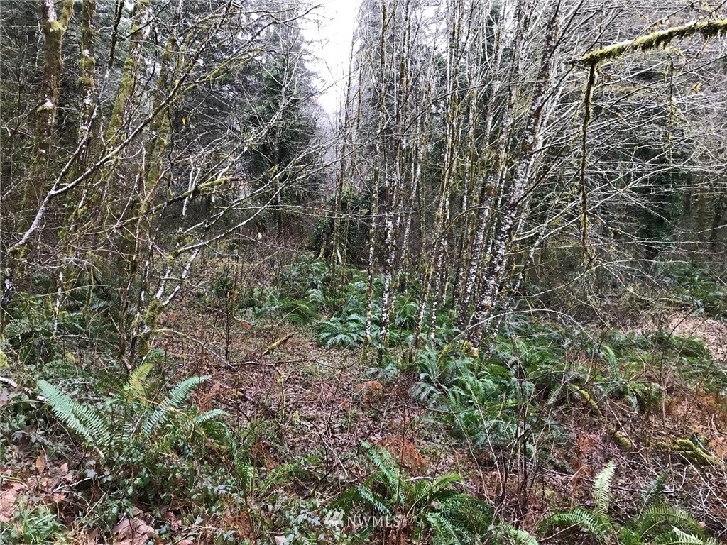 318 Spruce Creek Road Longview, WA 98632 - Photo 1 of 16 Gallery Image 1