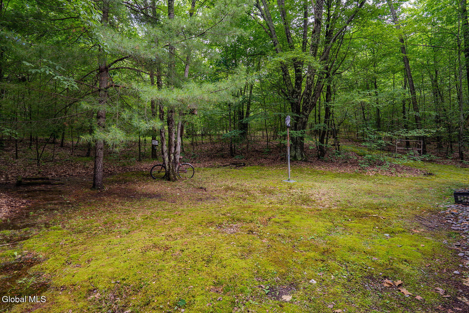 237 Bromley Lane Hebron, NY 12832 - Photo 16 of 24 _DSC8829
