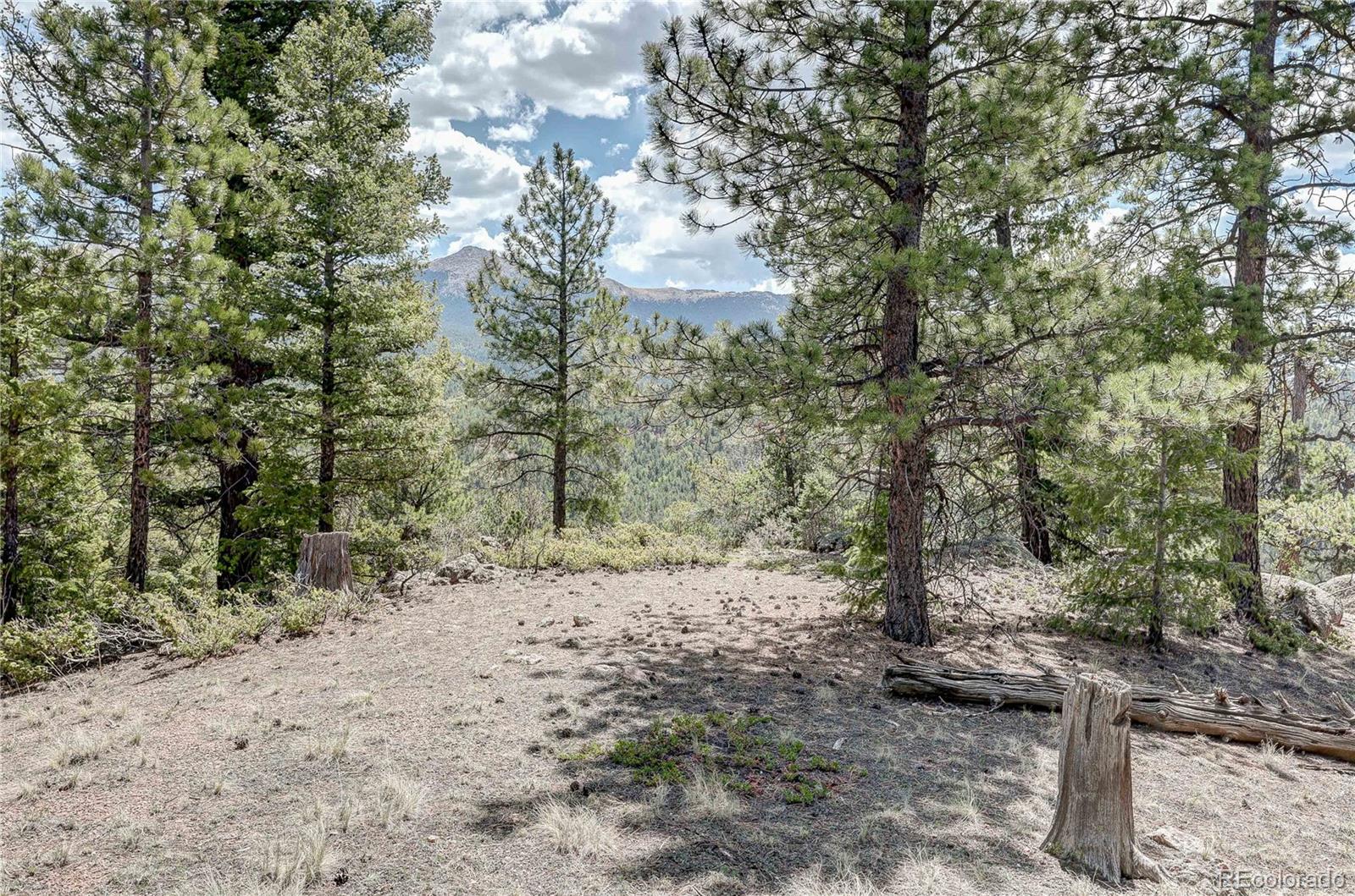 59 Robin Point Divide, CO 80814 - Photo 27 of 30 a view of a forest with trees