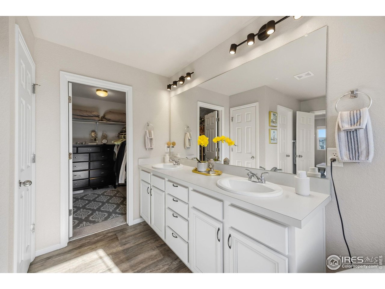 5247 Alberta Falls Street Timnath, CO 80547 - Photo 21 of 43 rimary bathroom with dual-sink vanity, large mirror, and walk-in closet access