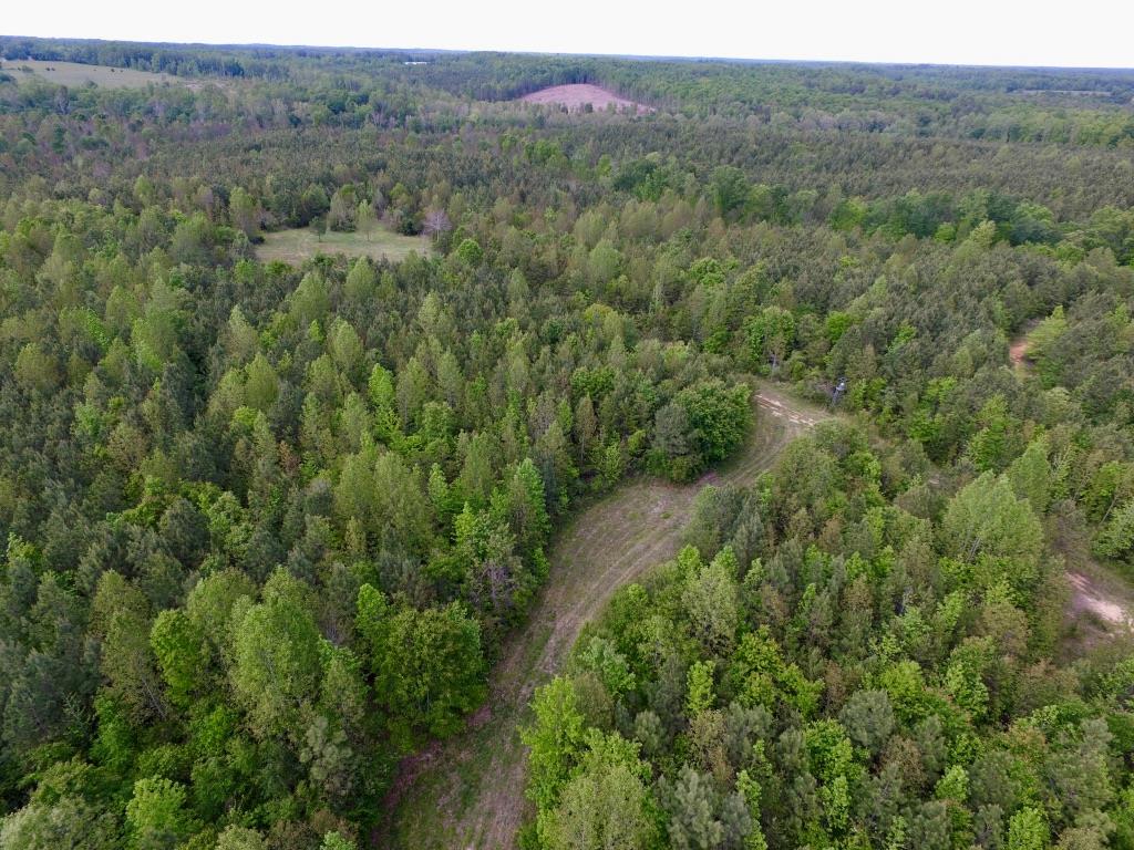 630 Mountain Hall Road, Unit 27D Crewe, VA 23930 - Photo 31 of 39 Gallery Image 31