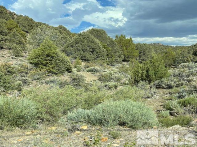 2041 Lousetown Road Reno, NV 89521 - Photo 1 of 2 a view of a building