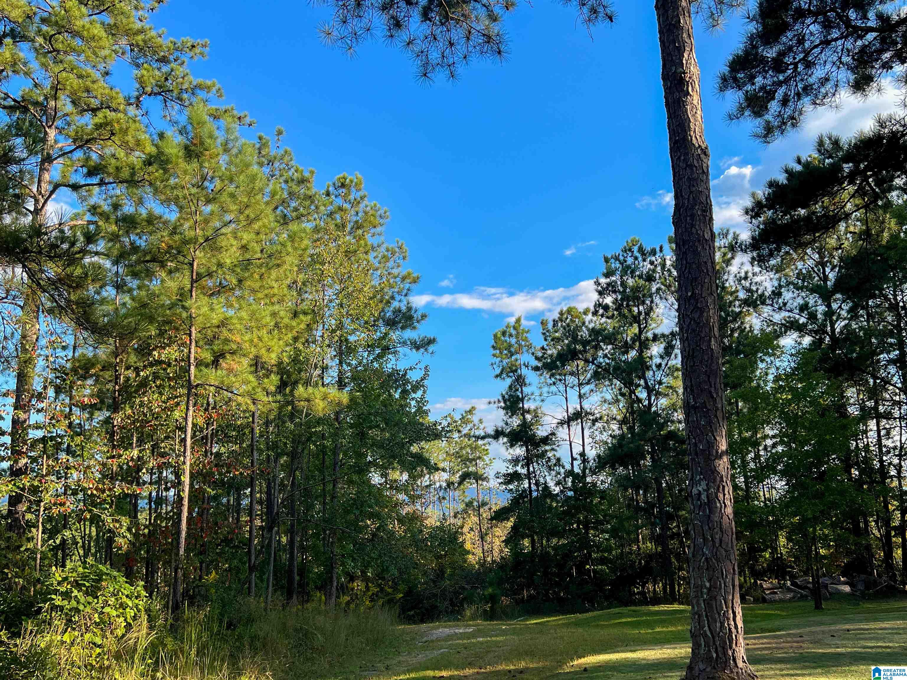 201 Cave Hill Road Weaver, AL 36277 - Photo 21 of 78