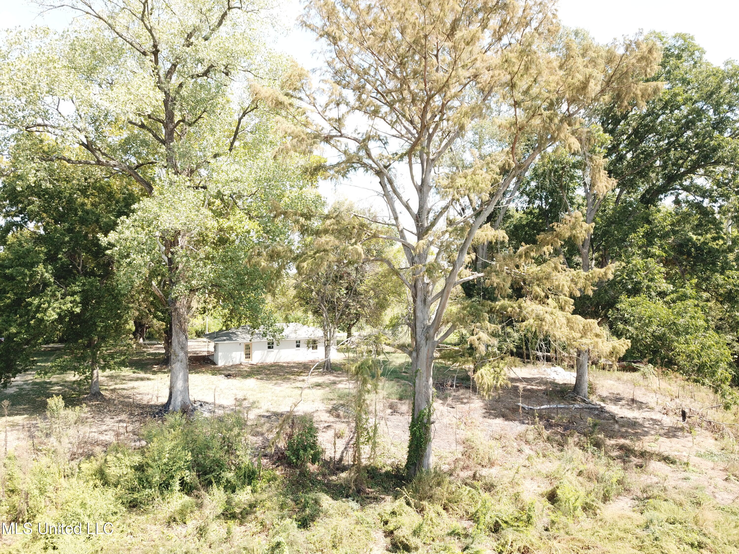 2458 Perkins Road Anguilla, MS 38721 - Photo 7 of 29 DJI_0100