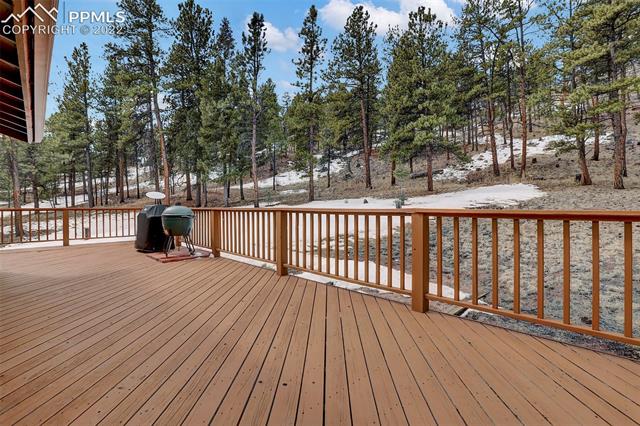 99 Toms Ranch Rd Lake Lake George, CO 80827 - Photo 4 of 30 Gallery Image 4