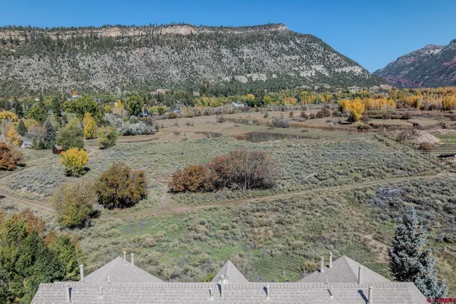 a view of a dry yard with wooden fence