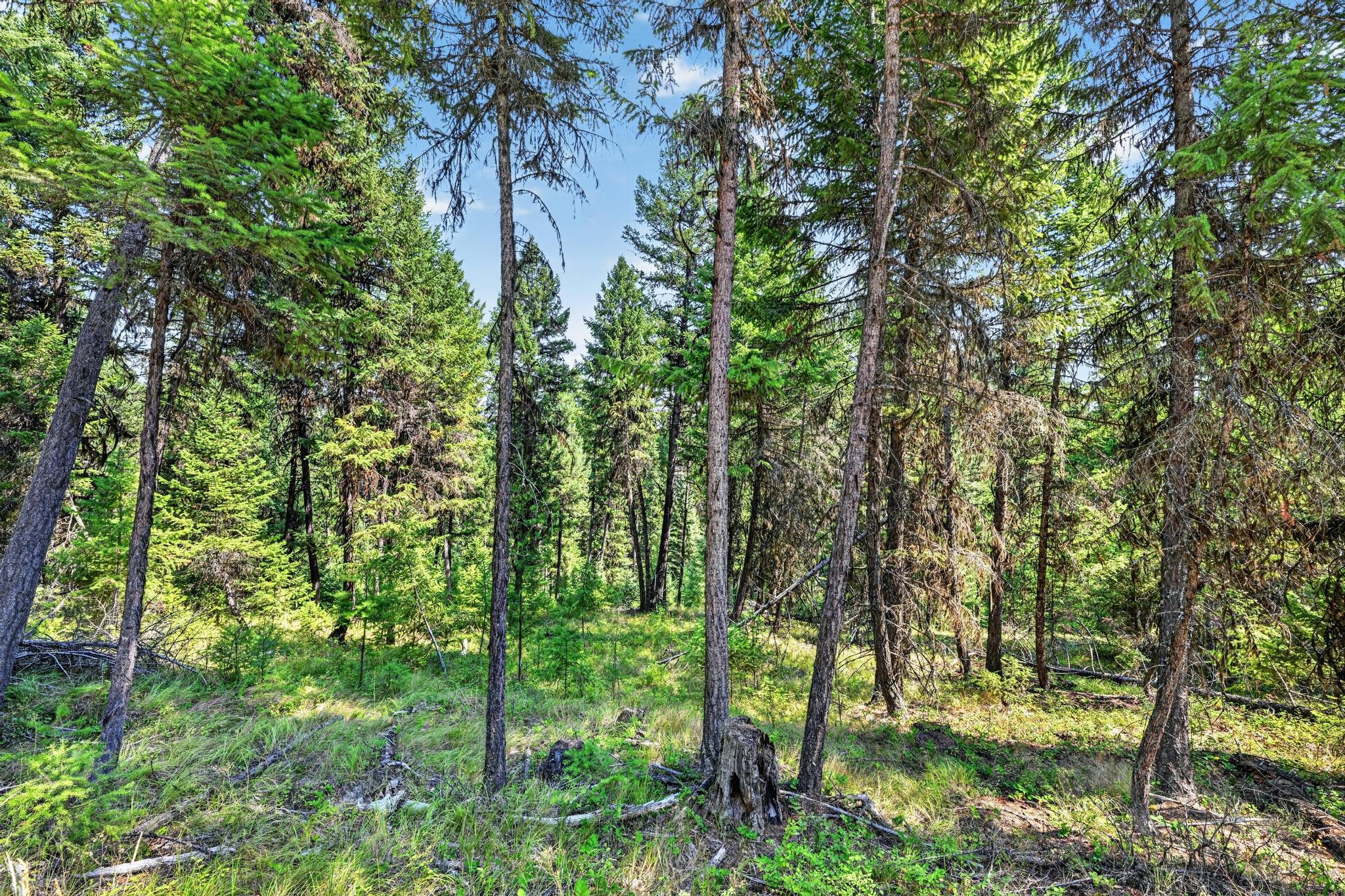 Lot 2 Forest Ridge Road Fortine, MT 59918 - Photo 15 of 22 Gallery Image 15