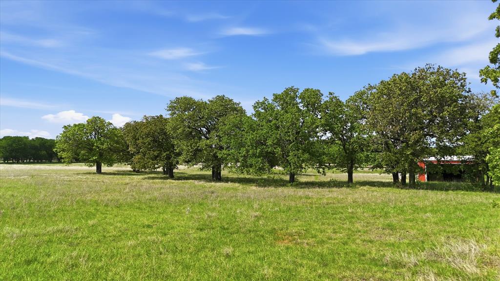 400 River Ranch Road Aledo, TX 76008 - Photo 6 of 31