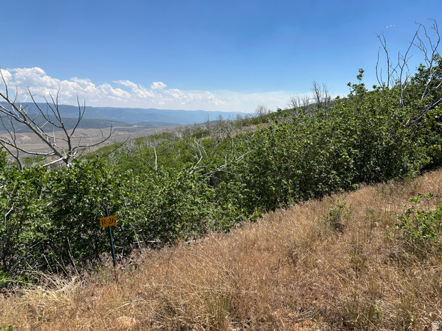 26 Indian Ridge Drive North, Unit R26 Fairview, UT 84629 - Photo 2 of 5