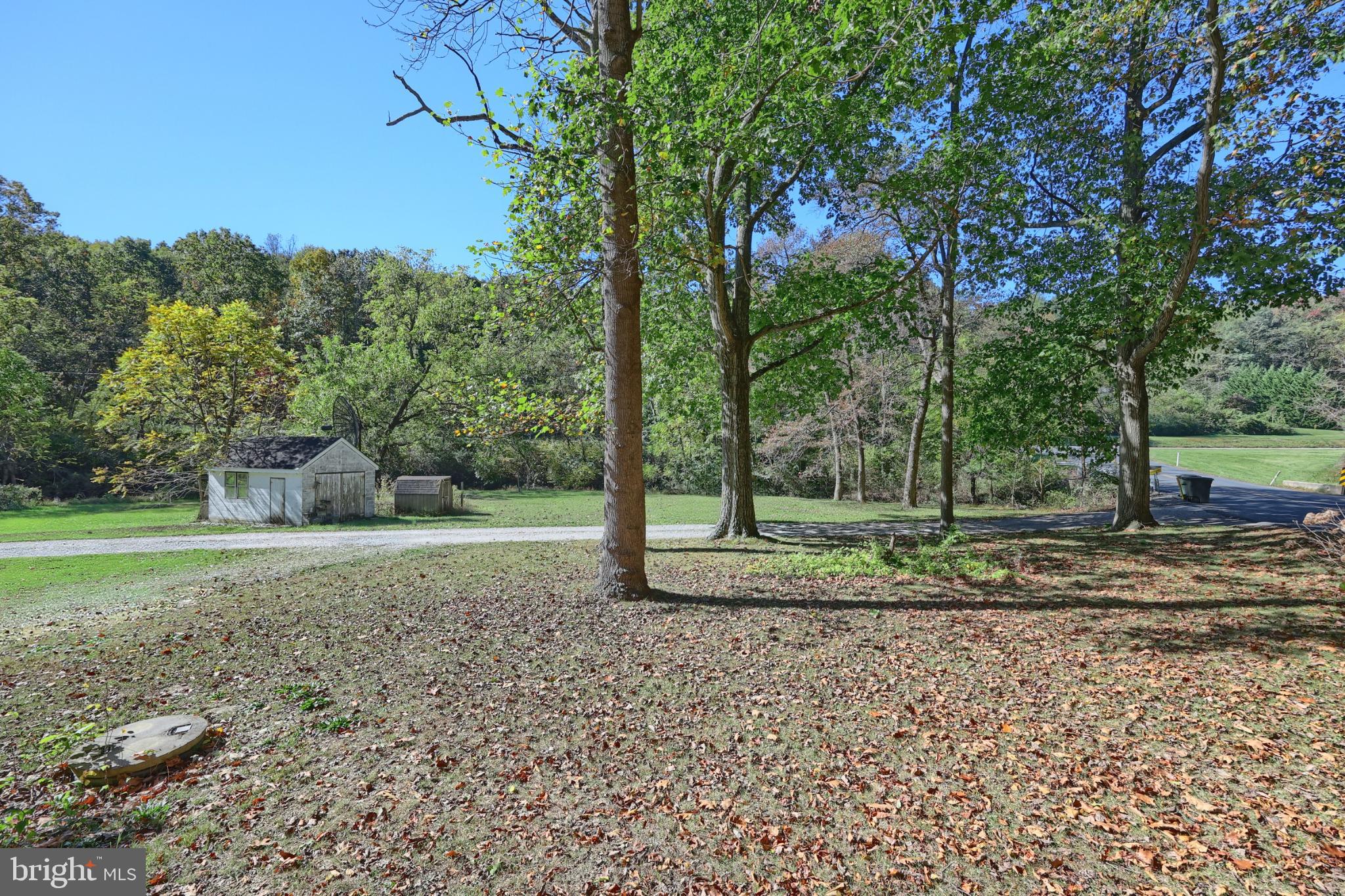 50 Bahns Mill Road Red Lion, PA 17356 - Photo 17 of 19 Serene landscape with lush greenery and trees.