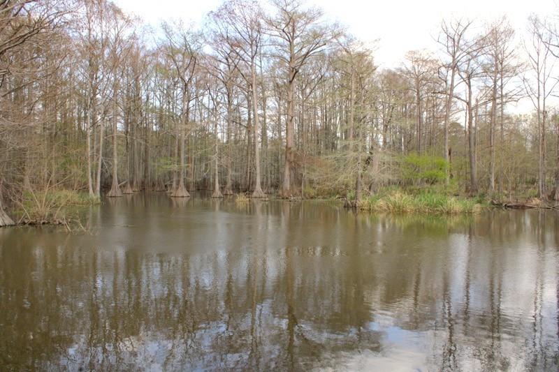 2693 Rhoda Road Shreveport, LA 71119 - Photo 34 of 35 a view of lake with a yard