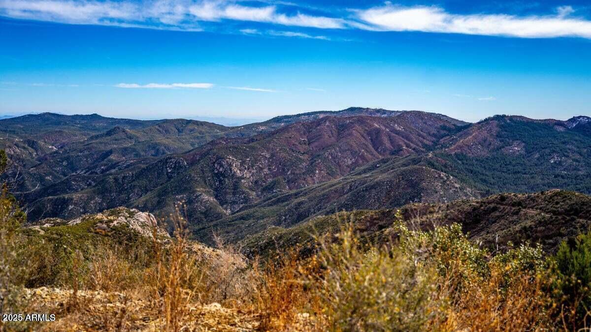 a view of a house with a mountain