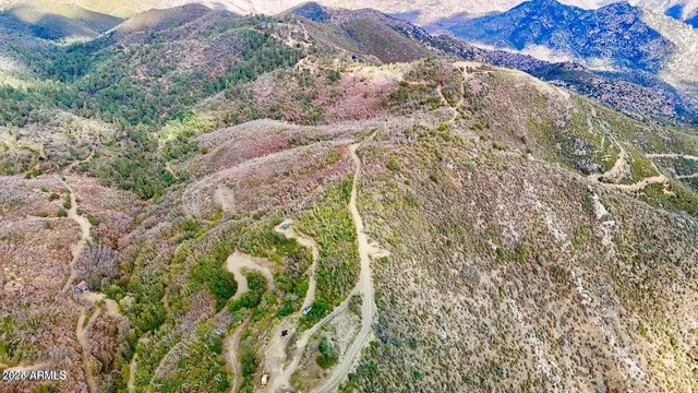 a view of mountains and tree