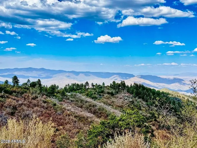 a view of a city with lots of green space
