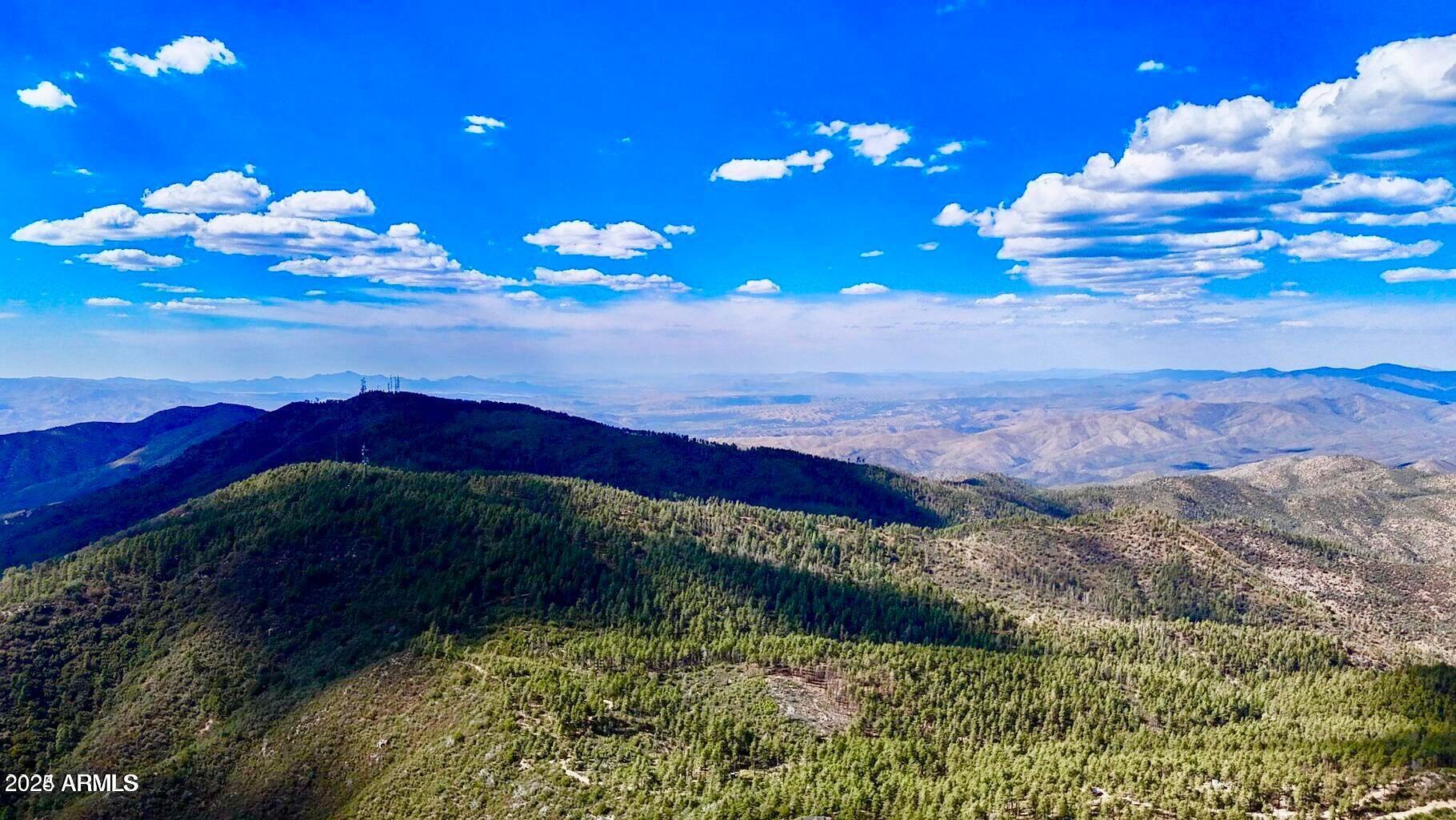 0 East Lincoln Ridge Road Crown King, AZ 86343 - Photo 16 of 22 a view of a flower in a yard
