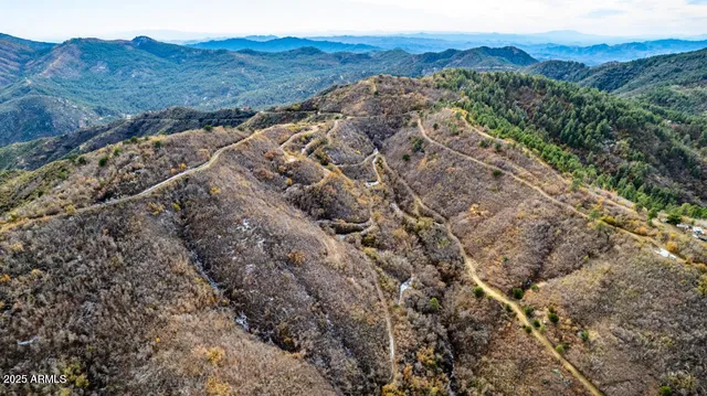 a view of a large mountain with a forest
