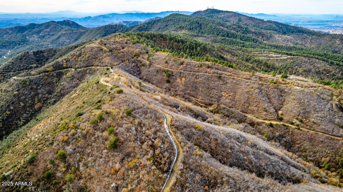 0 East Lincoln Ridge Road Crown King, AZ 86343 - Photo 9 of 22 a view of a forest with mountains in the background