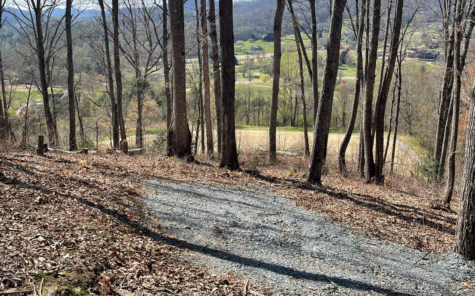 17 M Ridges Hayesville, NC 28904 - Photo 29 of 31 Additional View