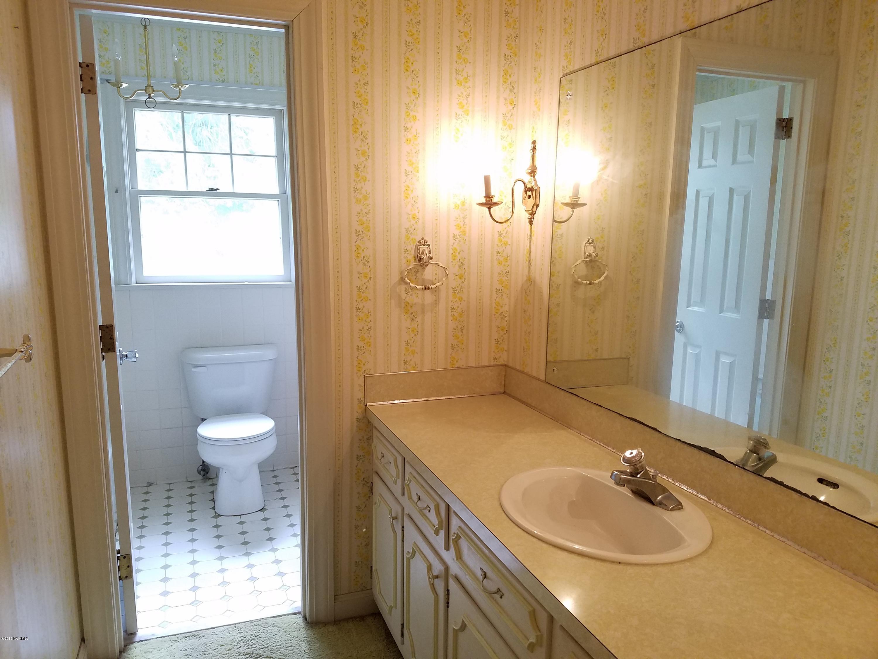 1564 Hull Road Snow Hill, NC 28580 - Photo 25 of 28 Hall Bath No. 2