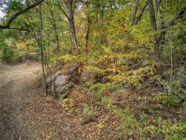 $1,000,000 | West 108th Street, Orrick, MO 64077