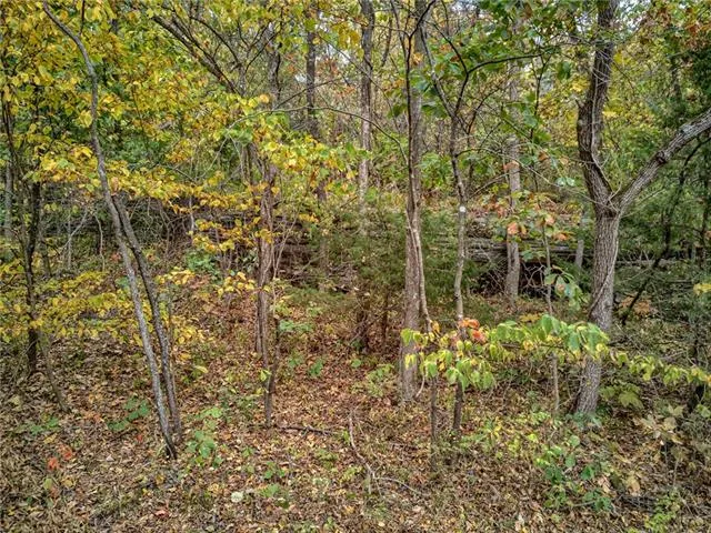 $1,000,000 | West 108th Street, Orrick, MO 64077