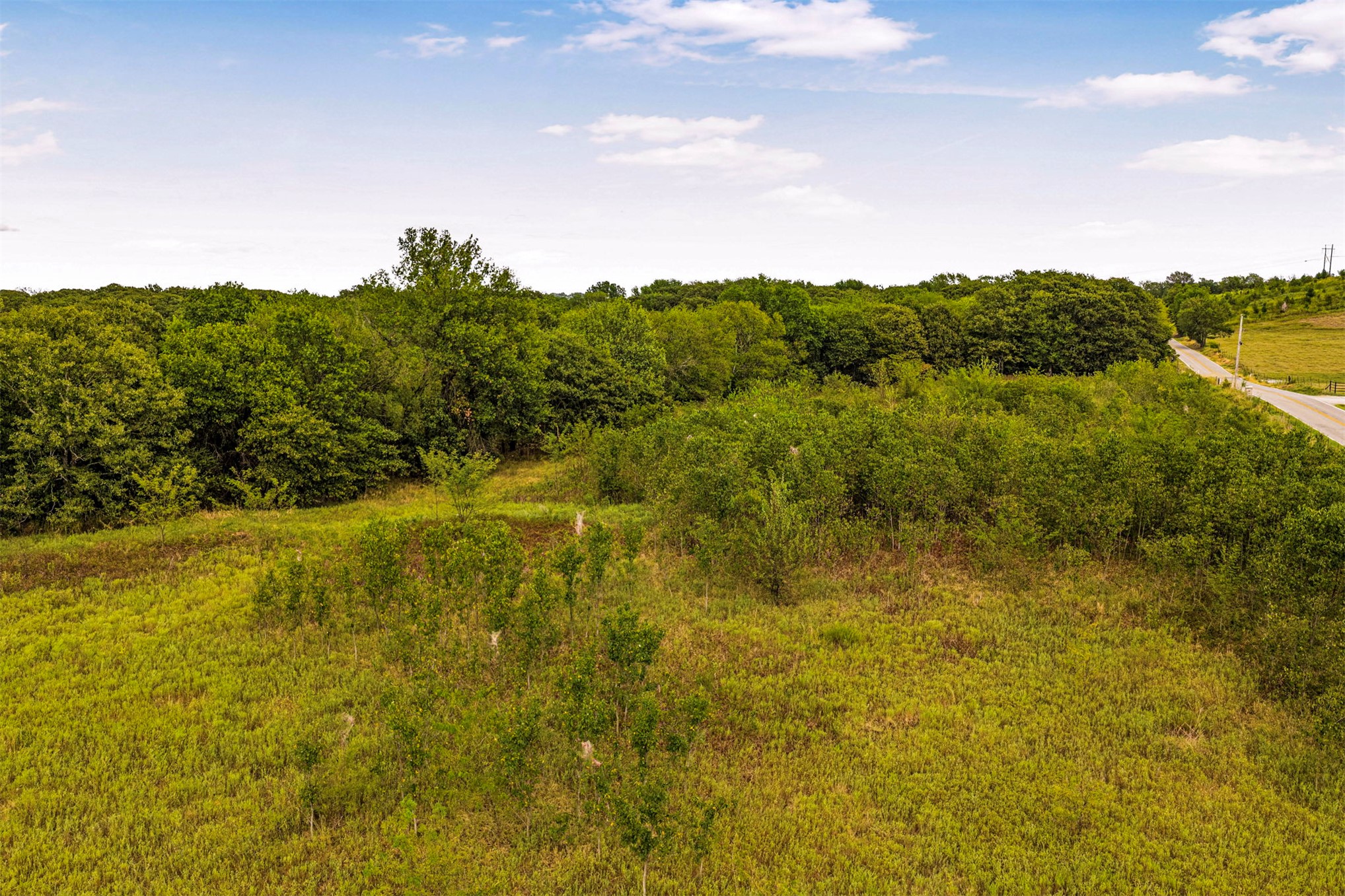 King Road Claremore, OK 74019 - Photo 29 of 45 Expansive open land featuring mature trees and lush vegetation