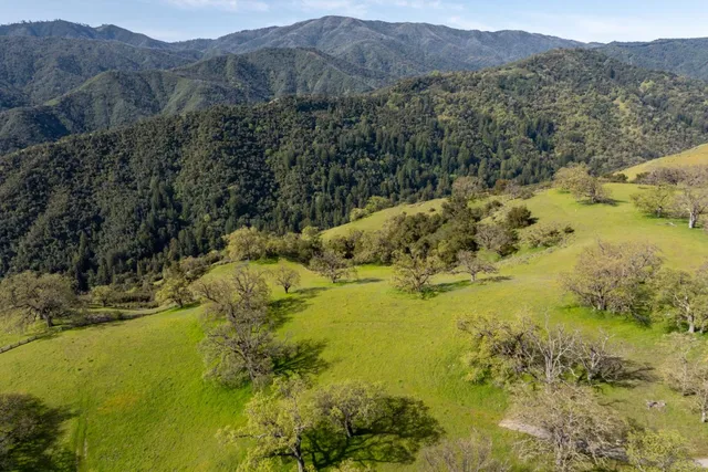 a view of an outdoor space and a yard