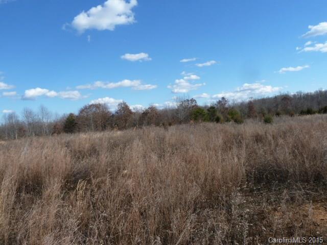 0 Ostwalt Amity Road Cleveland, NC 27013 - Photo 1 of 1