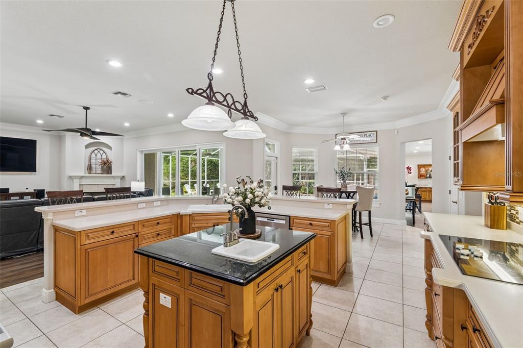 1349 Oak Meadow Point New Port Richey, FL 34655 - Photo 16 of 48