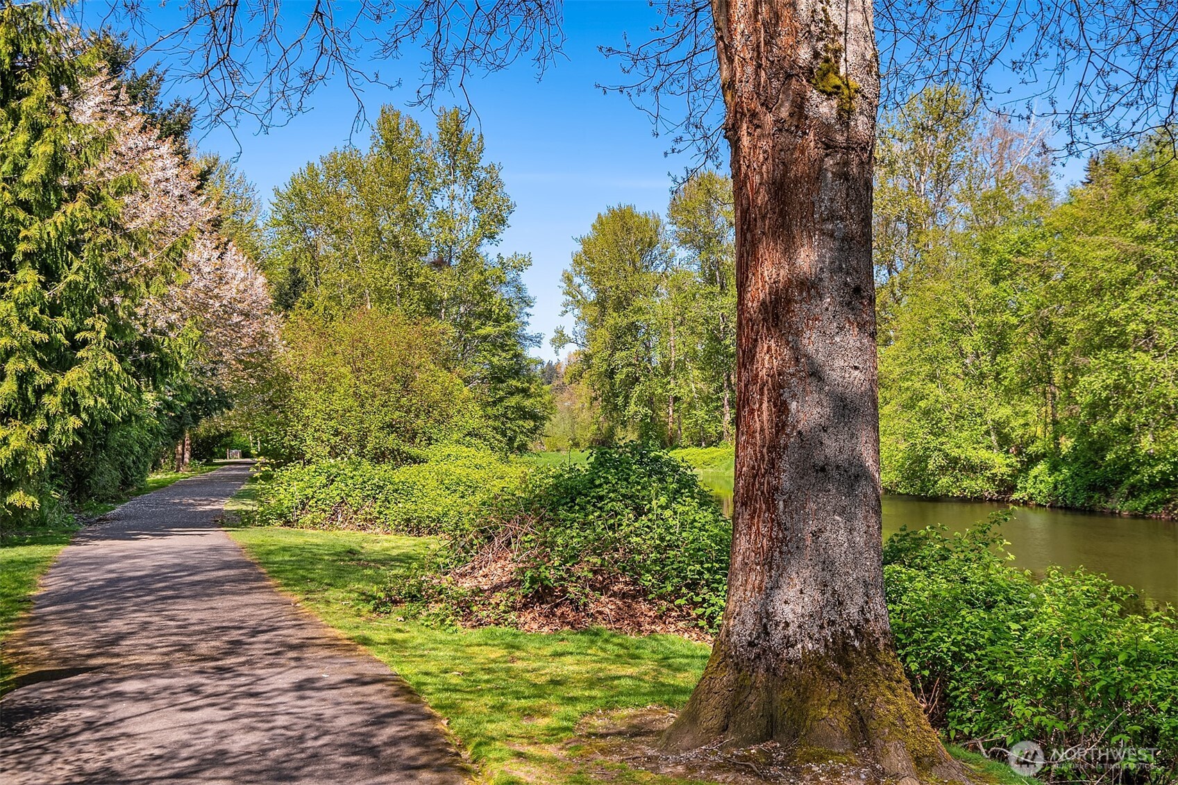 17432 Bothell Way Northeast, Unit B302 Bothell, WA 98011 - Photo 36 of 38 a backyard of a house with lots of green space