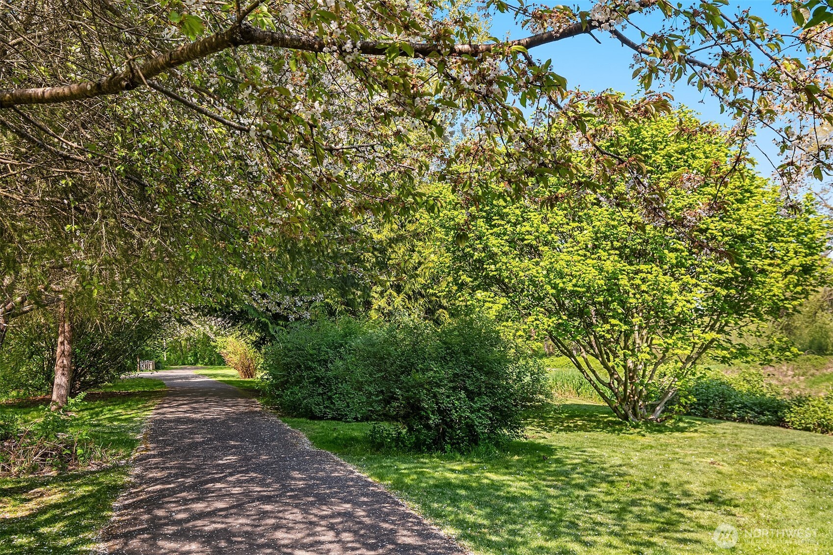 17432 Bothell Way Northeast, Unit B302 Bothell, WA 98011 - Photo 37 of 38 a view of a yard with plants and large trees